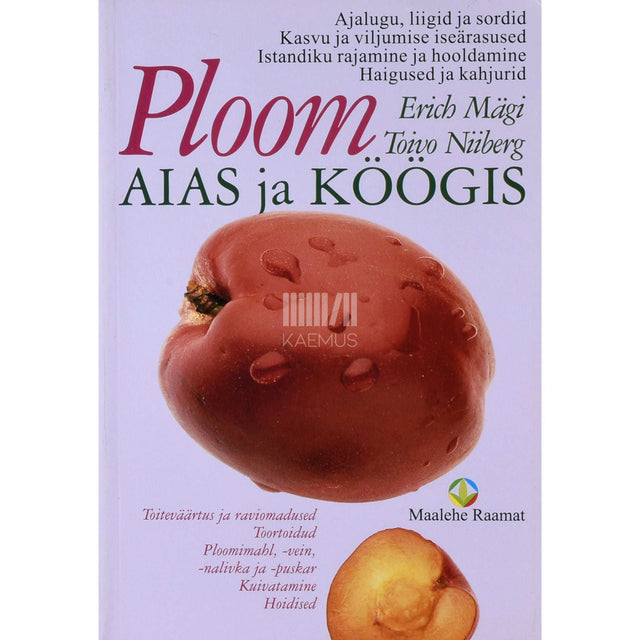 Erich Mägi, Toivo Niiberg - Ploom aias ja köögis