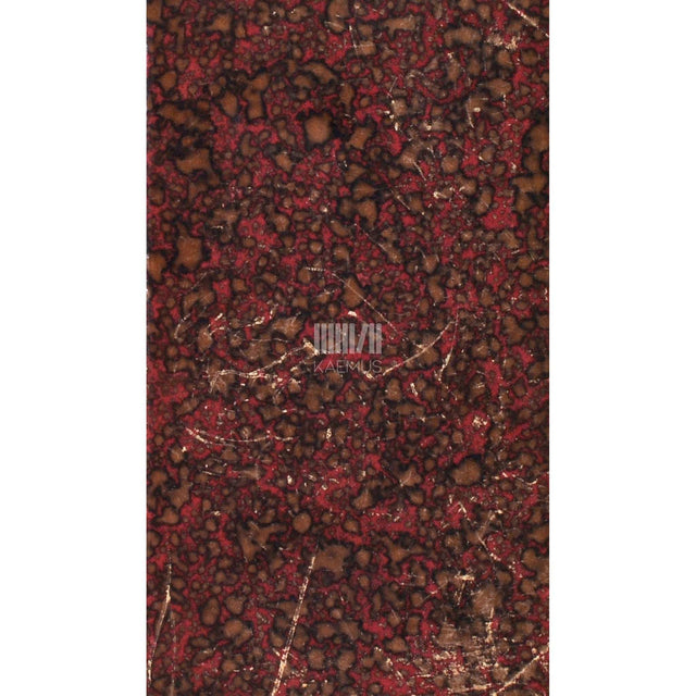 Jaan Vorms - Punased leegid. Kaks Saaremaa juttu