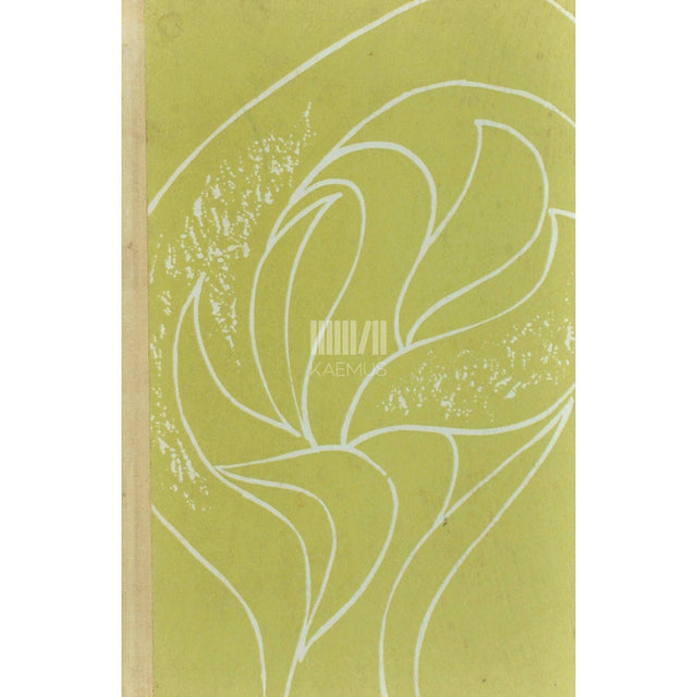 Teet Kallas - Puiesteede kummaline valgus