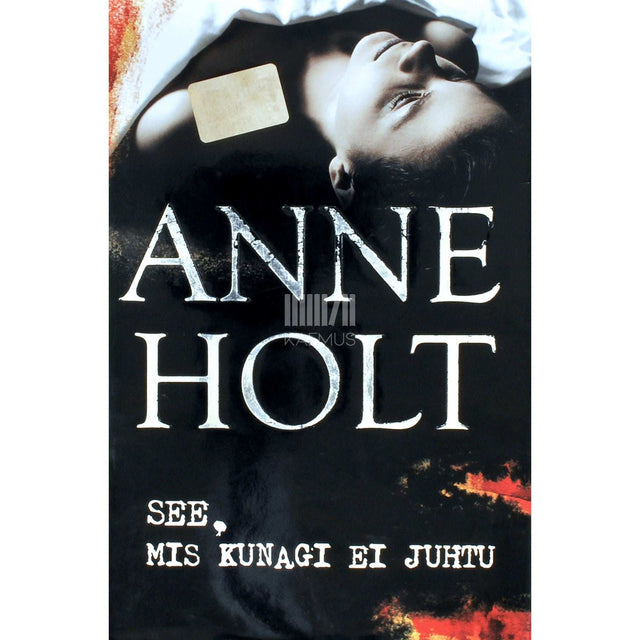 Anne Holt - See, mis kunagi ei juhtu