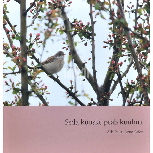Aili Paju - Seda kuuske peab kuulma