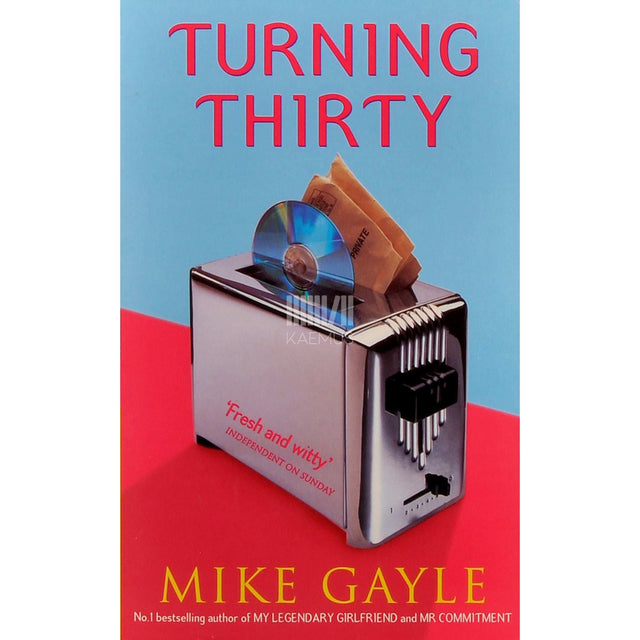 Mike Gayle - Turning Thirty
