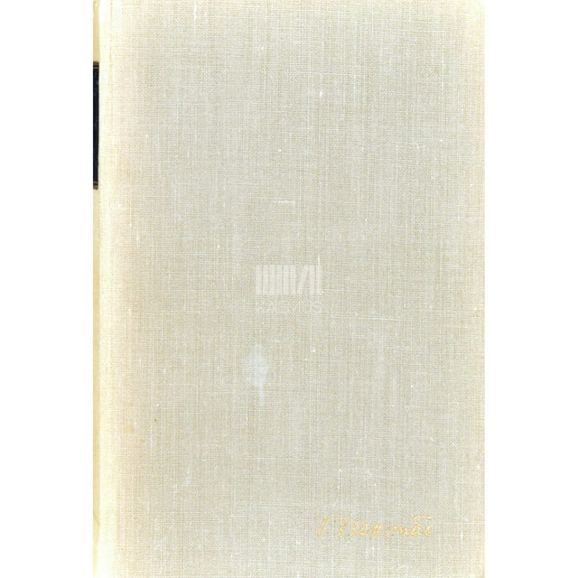 Viktor Veskimäe - Kolmas võimalus