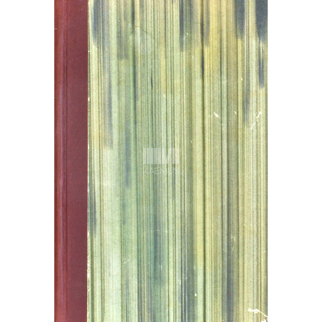 Ilmar Talve - Maja lumes. Teema variatsioonidega