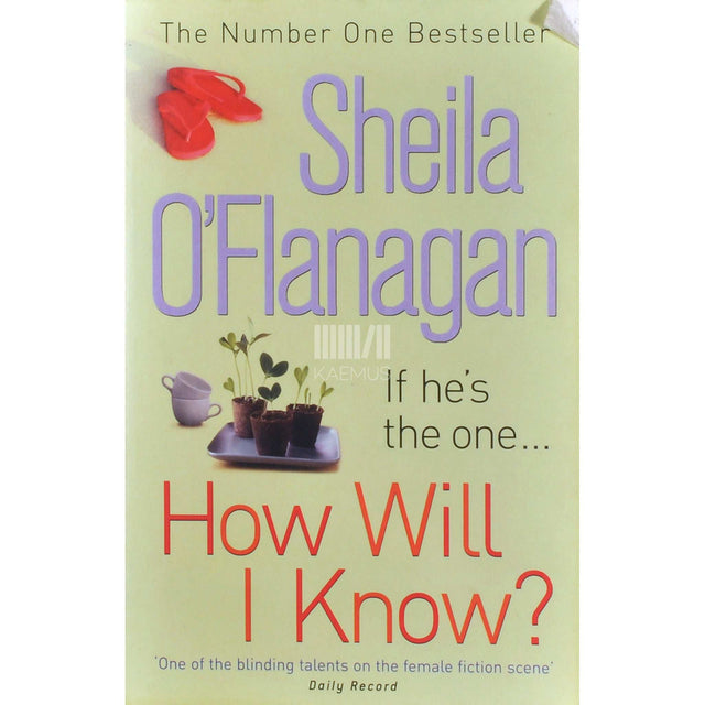 Sheila O'Flanagan - How Will I Know