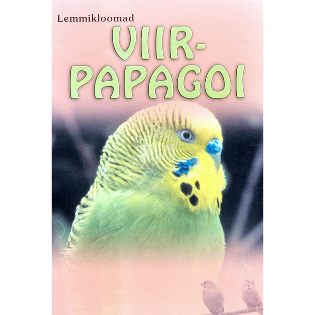 … - Viirpapagoi. Näpunäiteid viirpapagoi valimise ...
