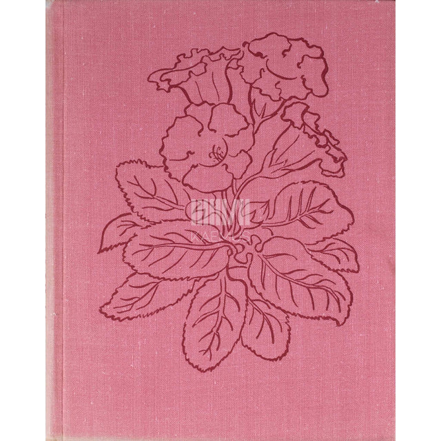 Virve Roost - Toalilled