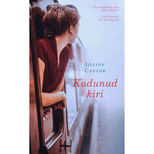 Jillian Cantor - Kadunud kiri