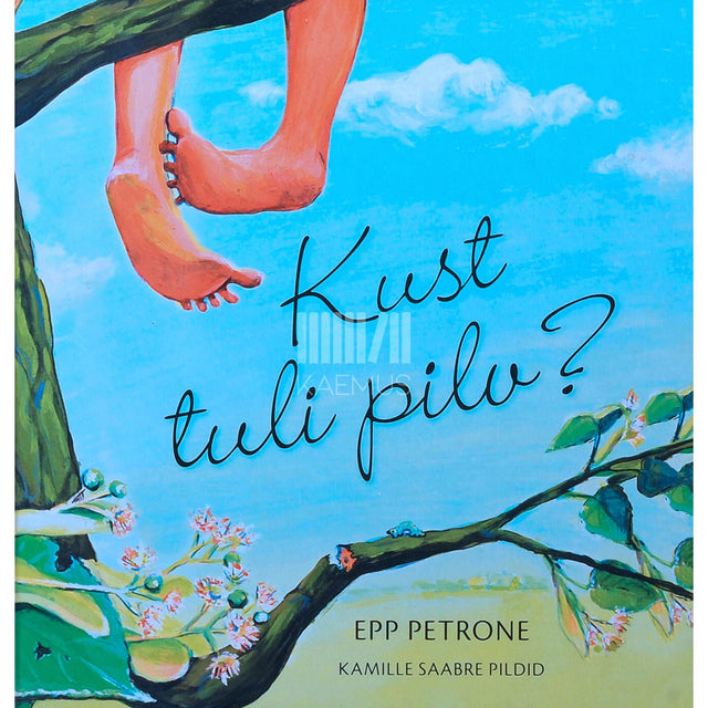 Epp Petrone - Kust tuli pilv?