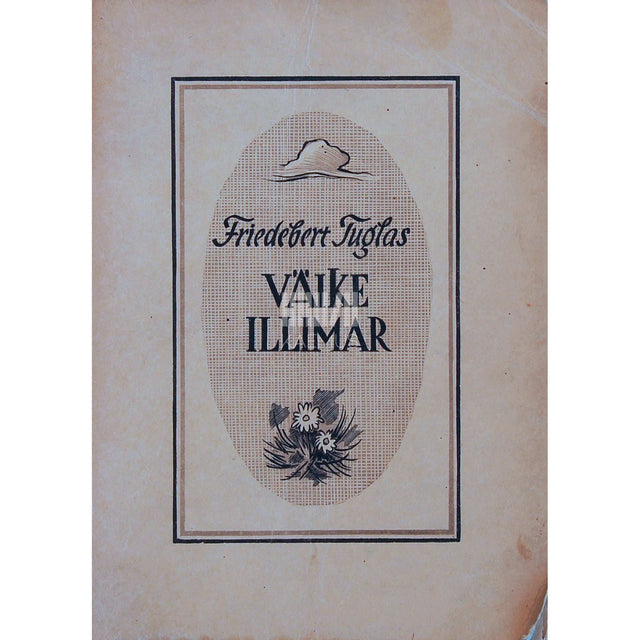Friedebert Tuglas - Väike Illimar. Ühe lapsepõlve lugu