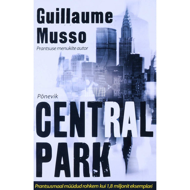 Guillaume Musso - Central Park