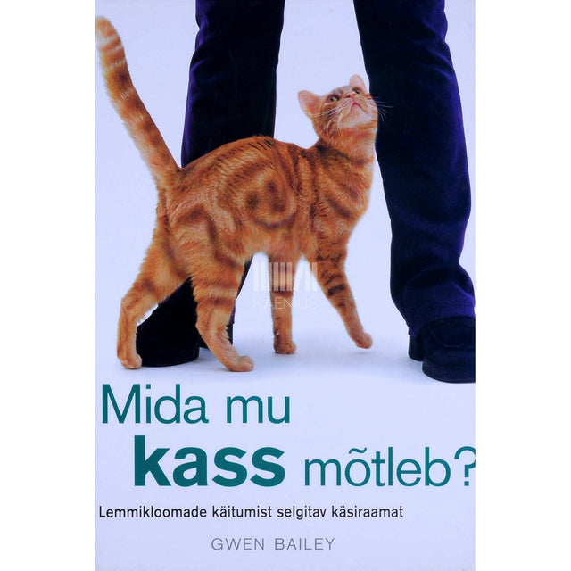 Gwen Bailey - Mida mu kass mõtleb?
