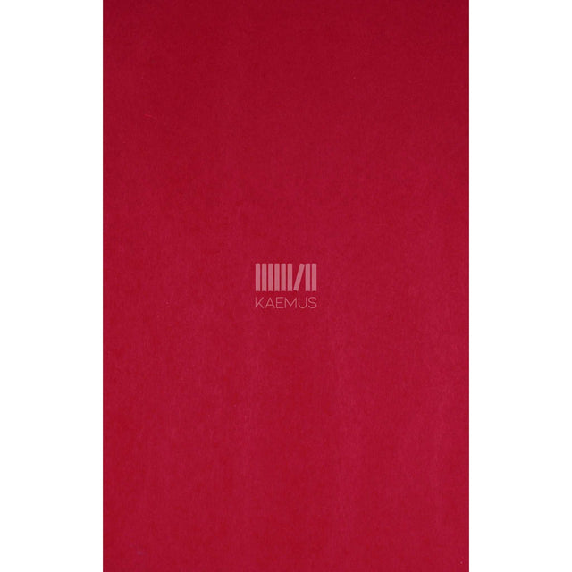 Graham Greene - Meie mees Havannas