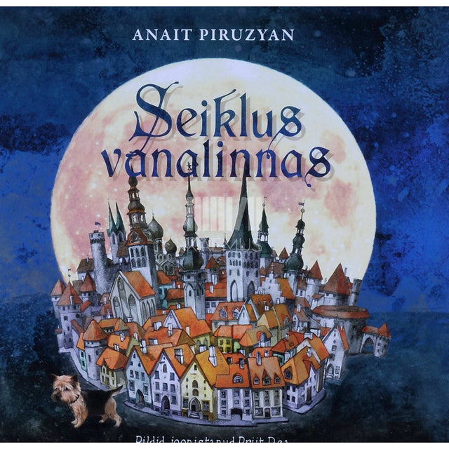 Anait Piruzyan - Seiklus vanalinnas