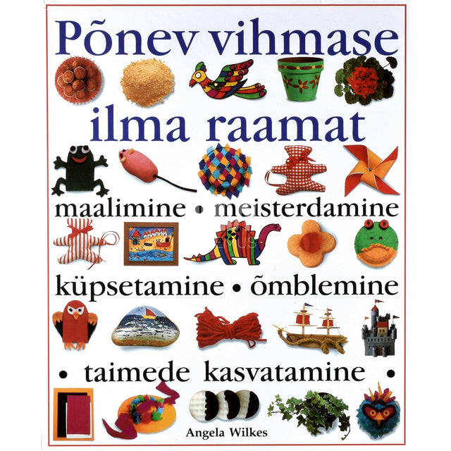 Angela Wilkes - Põnev vihmase ilma raamat. Rohkem kui 60 tööjuhendit