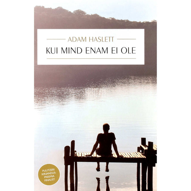 Adam Haslett - Kui mind enam ei ole