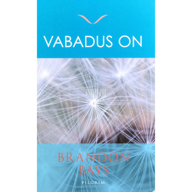 Brandon Bays - Vabadus on. Vabastage oma piirideta võimed