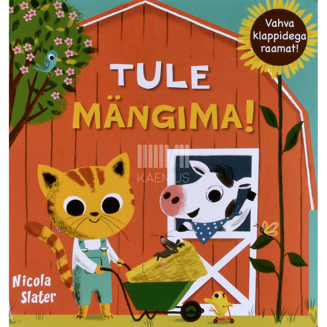 Nicola Slater - Tule mängima! Vahva klappidega raamat!