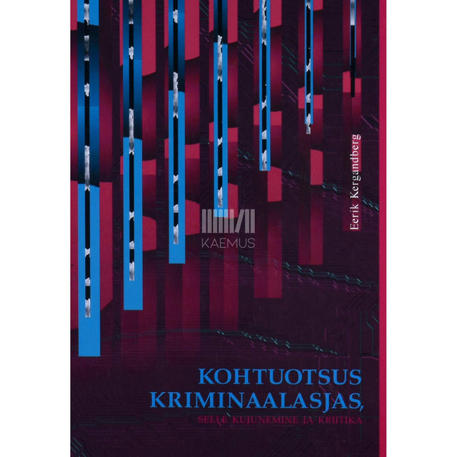 Eerik Kergandberg - Kohtuotsus kriminaalasjas, selle kujunemine ja kriitika