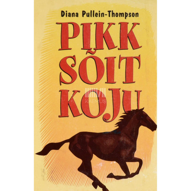 Diana Pullein-Thompson - Pikk sõit koju