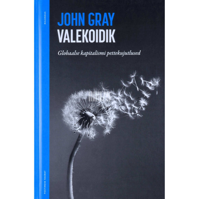 John Gray - Valekoidik. Globaalse kapitalismi pettekujutlused