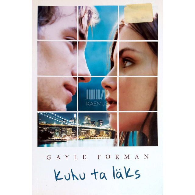 Gayle Forman - Kuhu ta läks
