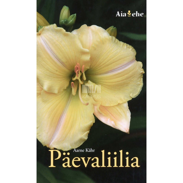Aarne Kähr - Päevaliilia
