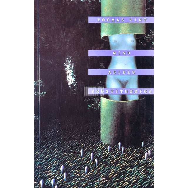 Toomas Vint - Minu abielu prostituudiga