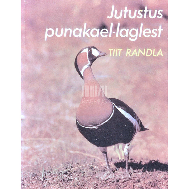 Tiit Randla - Jutustus punakael-laglest