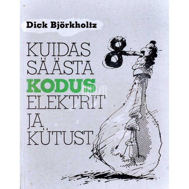 Dick Björkholtz - Kuidas säästa kodus elektrit ja kütust
