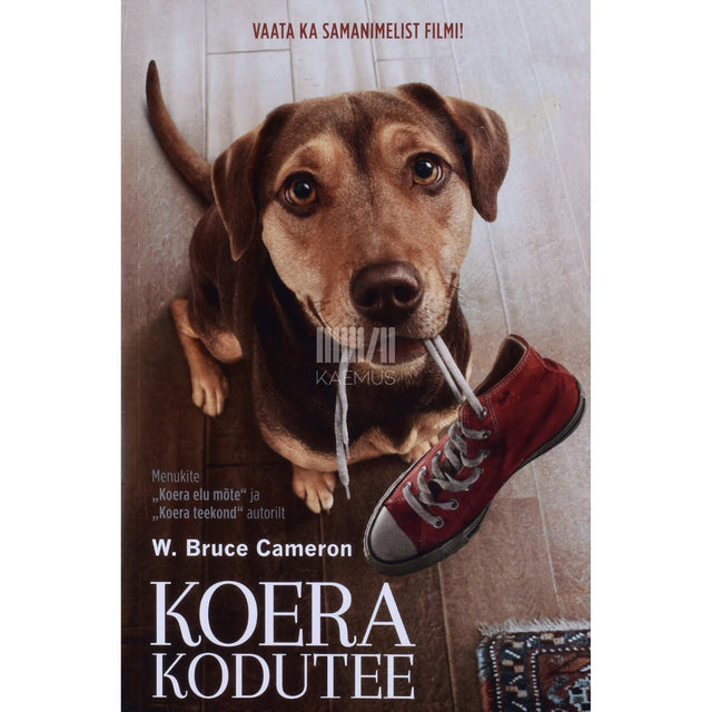 W. Bruce Cameron - Koera kodutee