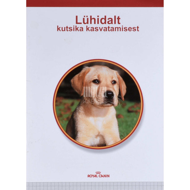 … - Lühidalt kutsika kasvatamisest