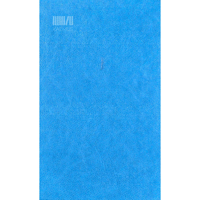 Richard Janno - Metsmees