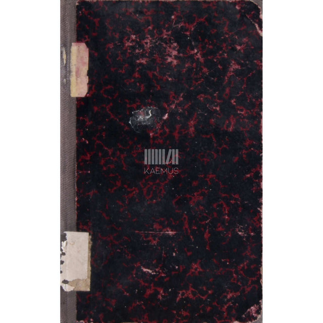 Eino Leino - Päev Helsingis. Naljapilt