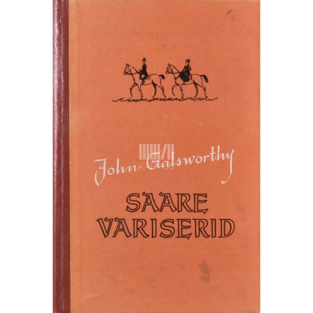 John Galsworthy - Saare variserid