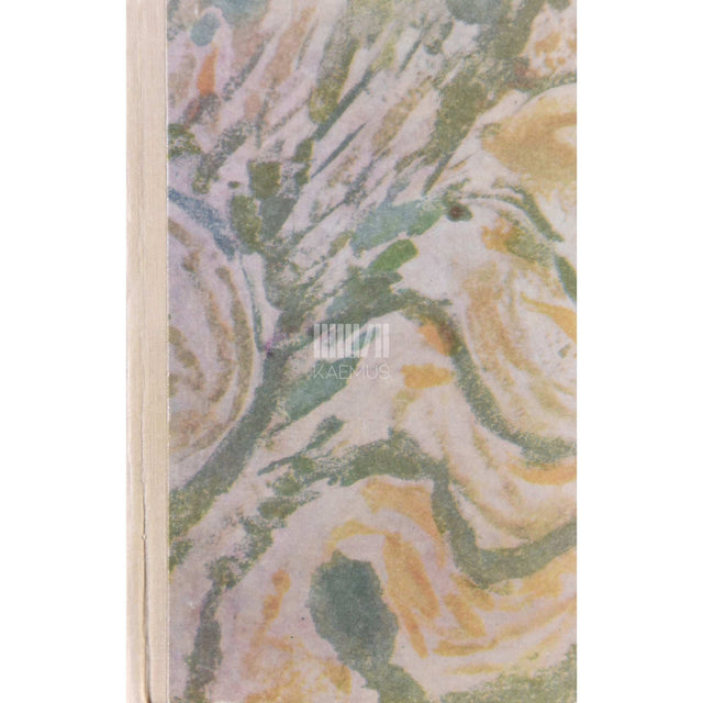 Irving Stone - Elujanu. Jutustus Vincent van Goghist