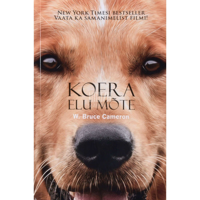 W. Bruce Cameron - Koera elu mõte