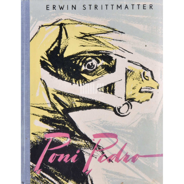 Erwin Strittmatter - Poni Pedro