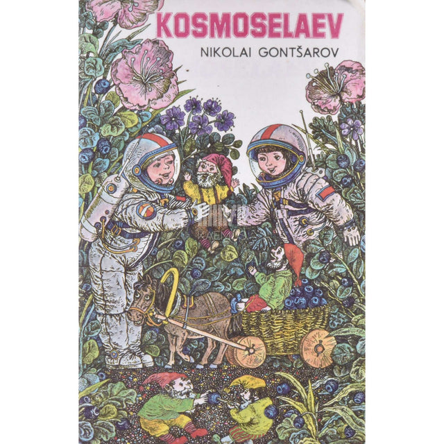 Nikolai Gontšarov - Kosmoselaev