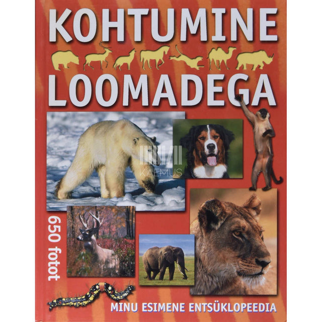... - Kohtumine loomadega