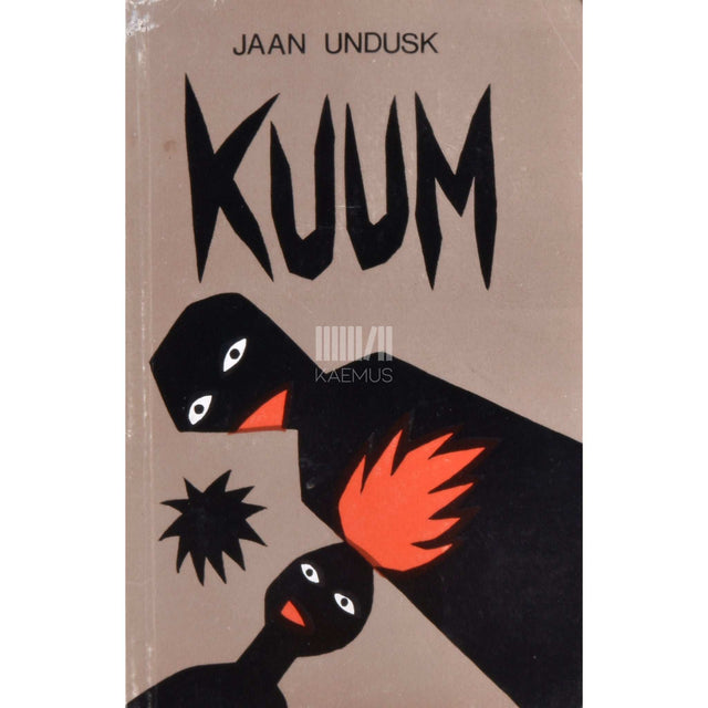 Jaan Undusk - Kuum lugu noorest armastusest