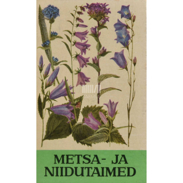 … - Metsa- ja niidutaimed