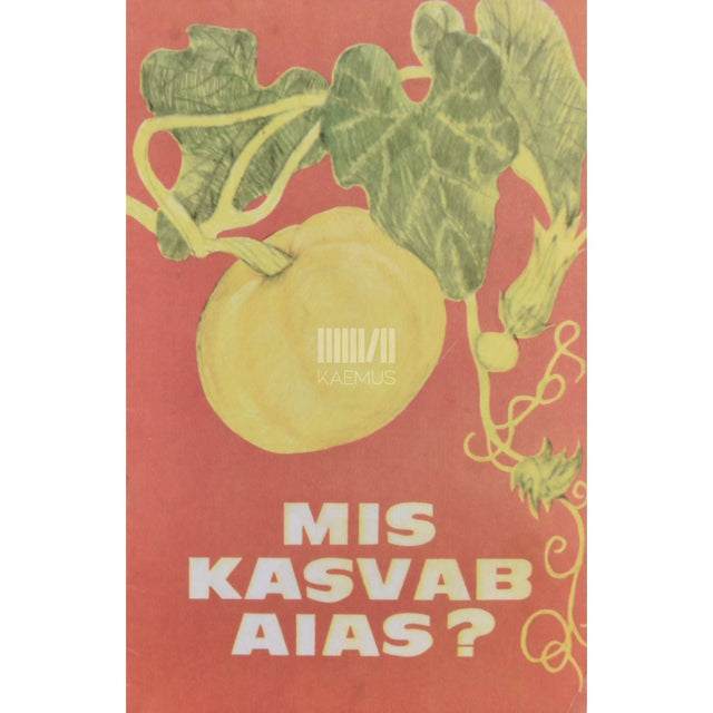 … - Mis kasvab aias? Pilte aiasaadustest