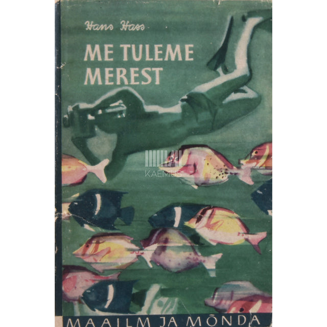 Uploaded via API (public URL)