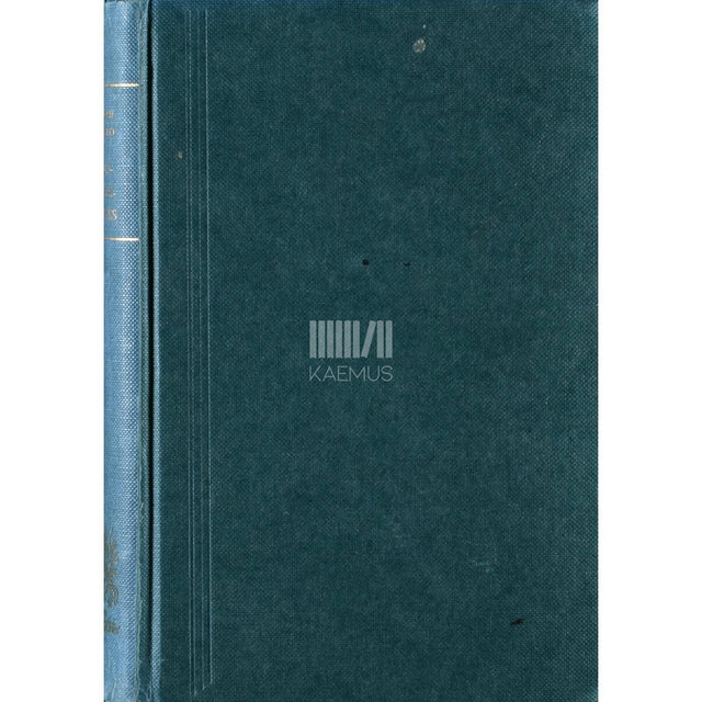 Helmi Mäelo - Elutegevuses