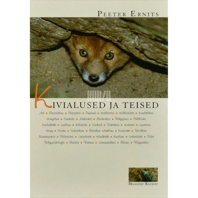 Peeter Ernits - Kivialused ja teised