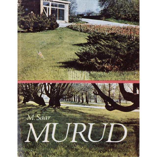 Marianna Saar - Murud