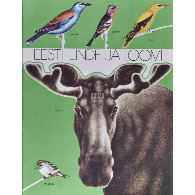 Fred Jüssi - Eesti linde ja loomi