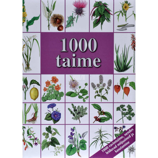 Hans W. Kothe - 1000 taime