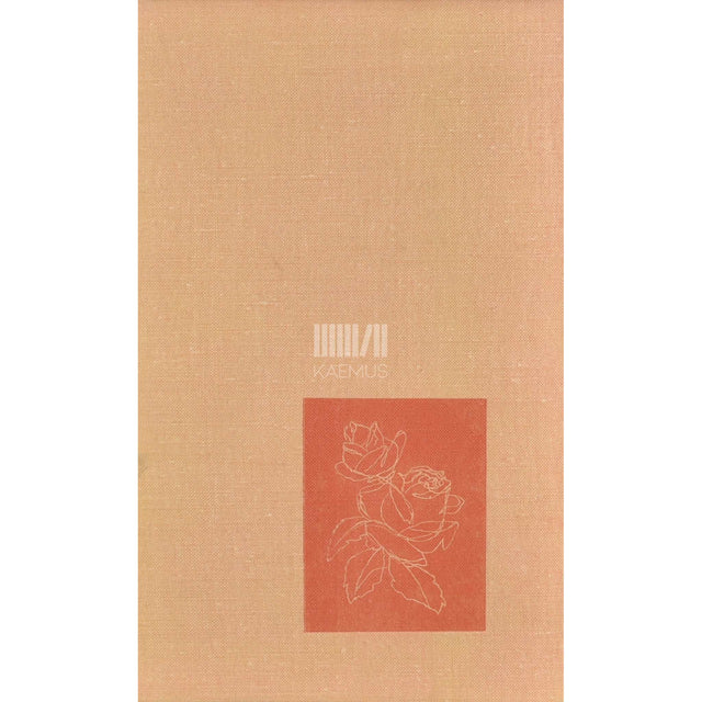 A. H. Tammsaare - Elu ja armastus